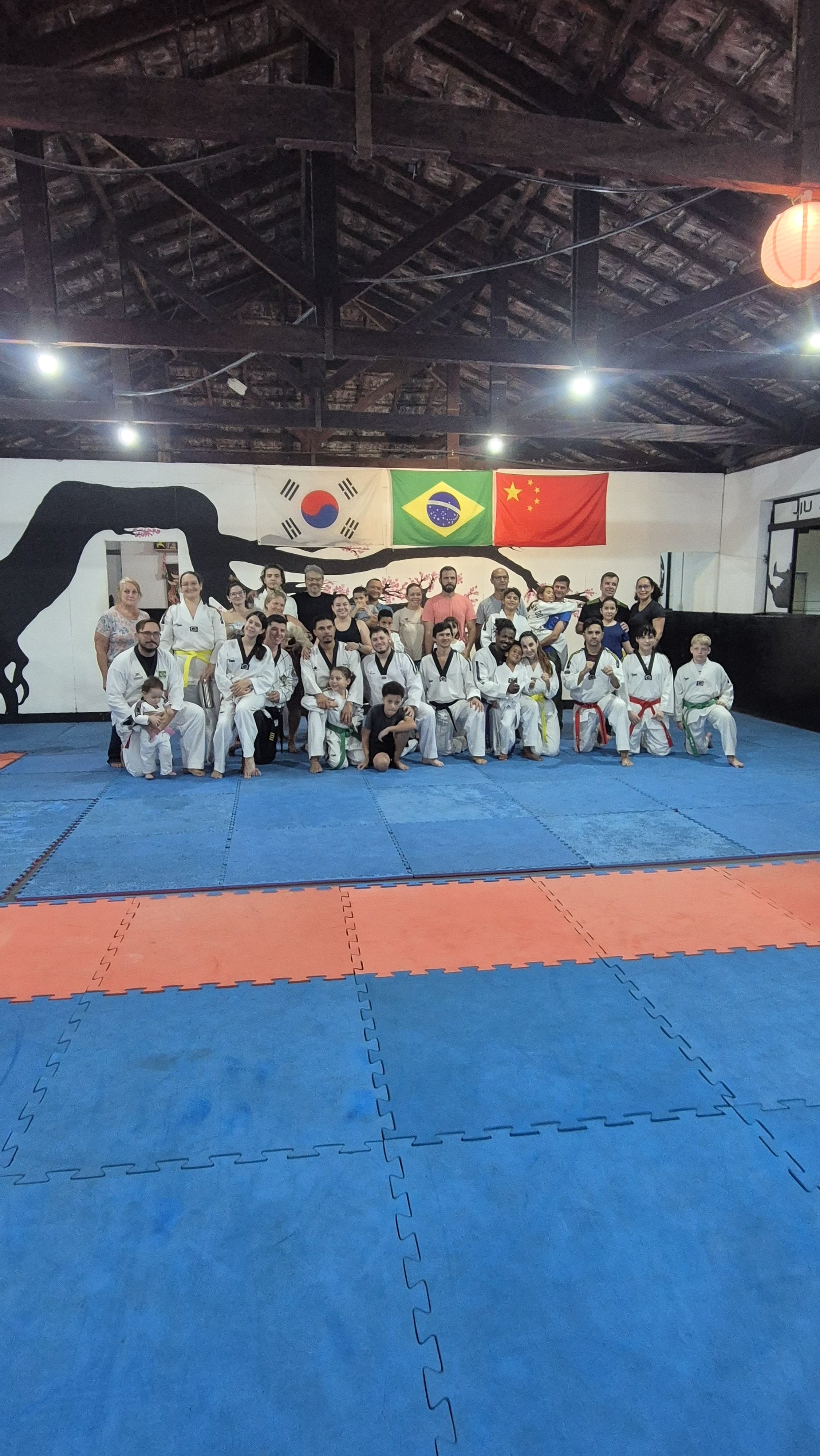 Foto 7 da União Andrade no dojang